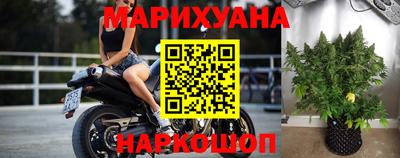 сатива Бузулук