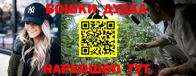 сатива Бузулук